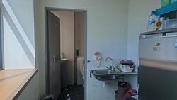 Vertex (D14), Factory #499087401